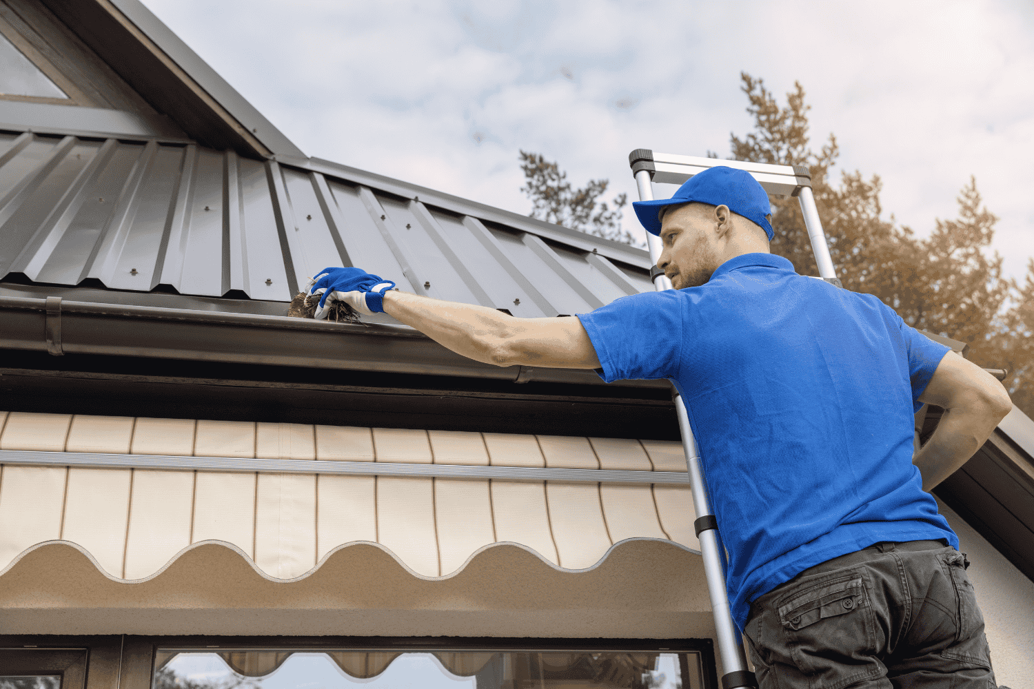 Preventative measures for roof maintenance to avoid leaks.